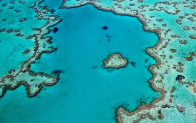 Grande Barriera Corallina Whitsunday Australia