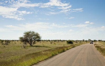 Truck on Road, Kruger National Park, South Africa