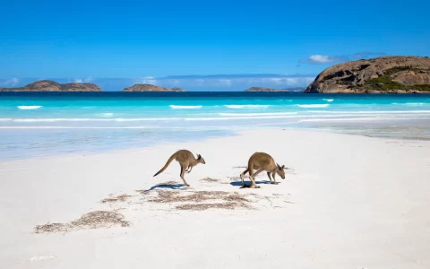 Lucky bay, Western Australia