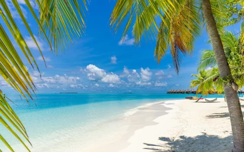 Maldives island beach