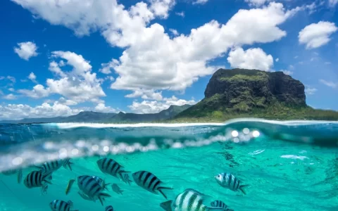 Mauritius from the sea