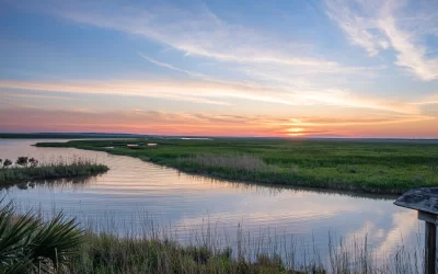 Outdoor Louisiana itinerari tra Bayou e Parchi