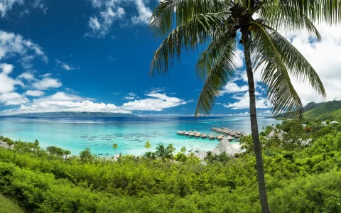 P2_MOOREA_00003_MOOREA