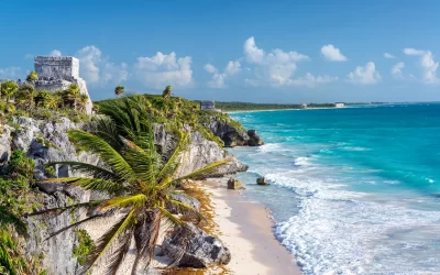 Rovine di Tulum, Messico e una palma che si affaccia sul Mar dei Caraibi nella Riviera Maya