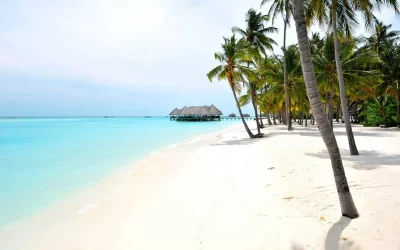 SONEVA FUSHI beach maldive