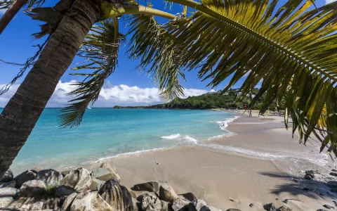 Saint Martin