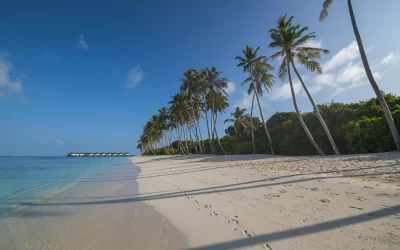 Spiaggia con palme Maldive
