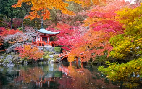 Tempio Daigo-ji con aceri colorati in autunno Kyoto