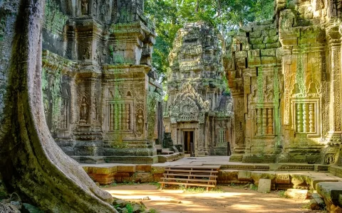 Tempio Ta Prohm nella luce del mattino. Parte del complesso Angkor Wat, Seam Reap, Cambogia.
