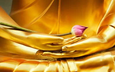 Thailandia fiore di loto messo sulla mano di Buddha