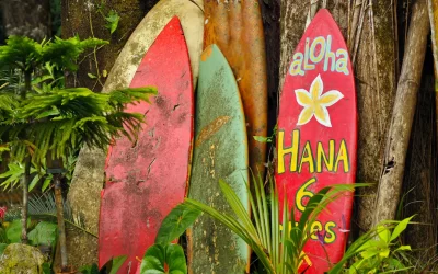 Surf boards on The Road To Hana, Hawaii