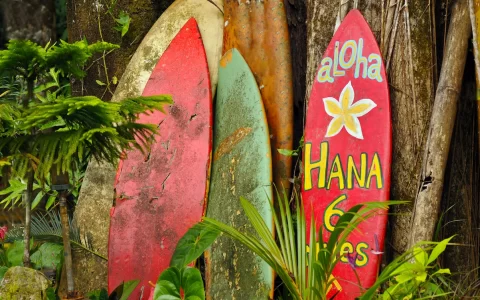Surf boards on The Road To Hana, Hawaii