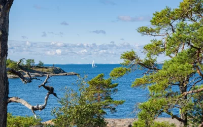 The view from Porkkalanniemi to the Gulf of Finland and trees, Kirkkonummi, Finland