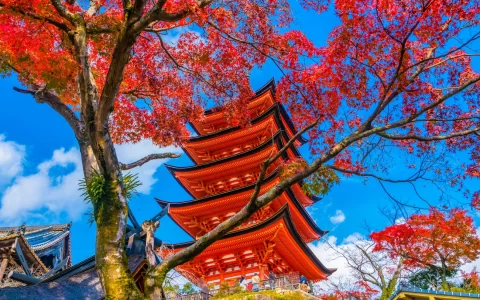Toyokuni Shrine five-story pagoda at Miyajima, Hiroshima, Japan