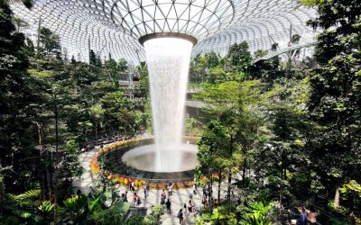 Viaggio Singapore Green