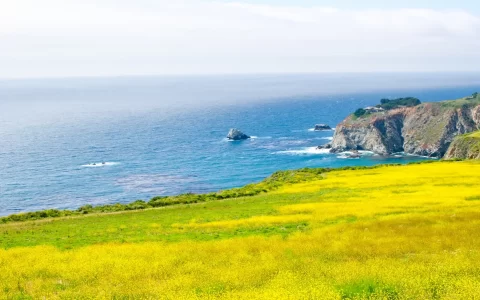 View of the California Coastline along State Road 1