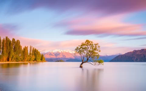 Wanaka Tree sunrise New Zeland