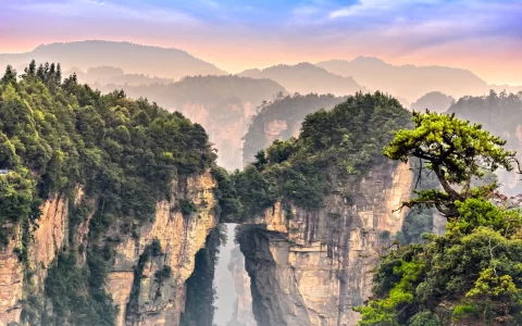Zhangjiajie Forest Park at sunrise.