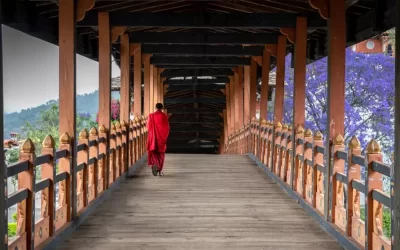 The beauty of Punakha Dzong is incomplete without its monks, drapped in red robe.