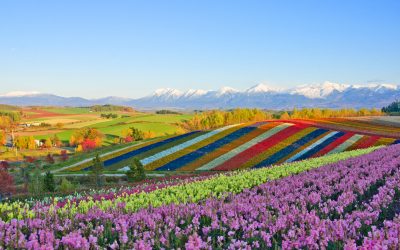Biei town, Hokkaido, Japan