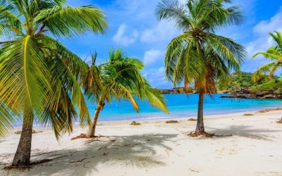 Galleon Beach on Caribbean island Antigua, English Harbour, paradise bay at tropical island in the Caribbean Sea