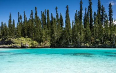 Tropical Beach Paradise on Isle of Pines in New Caledonia (ile des pins). The weather is nice and sunny with few clouds and crystal clear water.