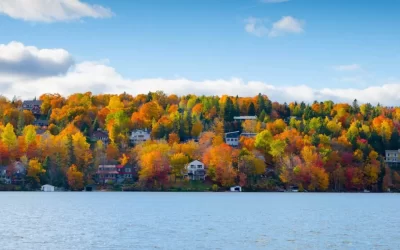 Colorful trees in mountain with green, yeloow, orange and red leaves with lake in foreground.