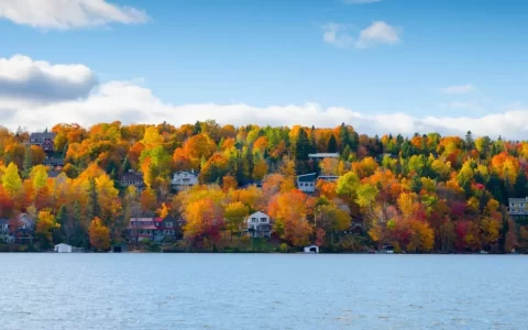 Colorful trees in mountain with green, yeloow, orange and red leaves with lake in foreground.