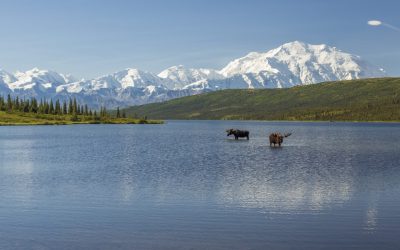 Wonder Lake Wonder Lake