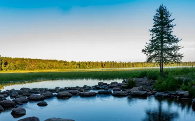 itasca lake