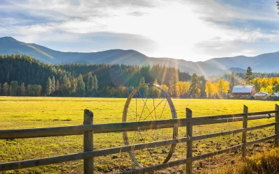 montana farm