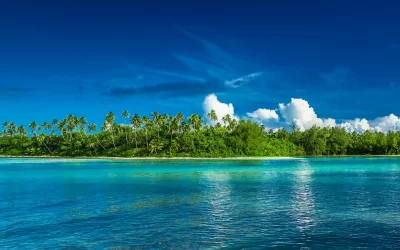 Tropical Rarotonga con palme e spiaggia di sabbia bianca, Isole Cook