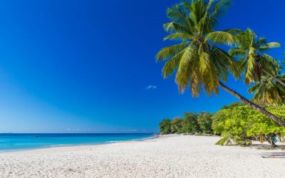 SEYCHELLES NOT TO MISS 4