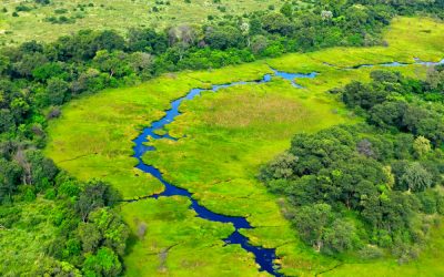 Green,River,,Aerial,Landscape,In,Okavango,Delta,,Botswana.,Lakes,And