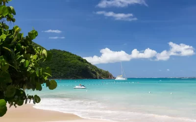 shutterstock_118314781