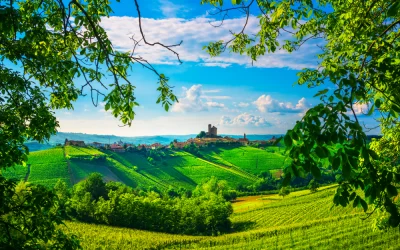 Foto panorama colline vigneti Langhe in Piemonte