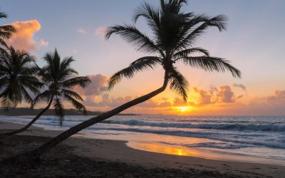 The,Beautiful,Sunset,On,Martinique,Island,,French,West,Indies.