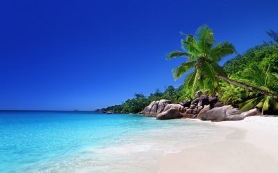 Beach,At,Praslin,Island,,Seychelles