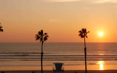 Palms silhouette sunset sky, California aesthetic. Oceanside USA. Tropical pacific ocean beach atmosphere. Dark black palm tree, Los Angeles vibes. Lifeguard watchtower, baywatch watch tower hut.