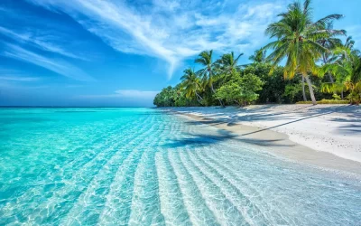 shutterstock_1938868960