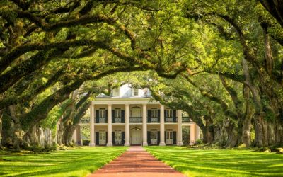 Oak,Alley,Plantation,,Louisiana