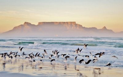 Paesaggio con spiaggia e Table mountain all'alba