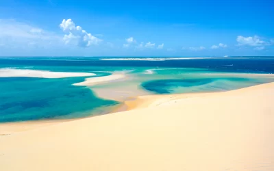 shutterstock_658481665