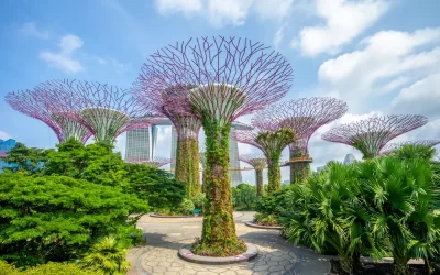 Landscape Of Gardens By The Bay In Singapore
