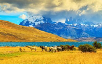 Viaggio in Cile, le 10 cose da vedere copertina