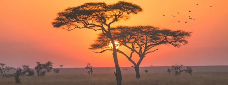 Hotel & Resort Africa Meridionale