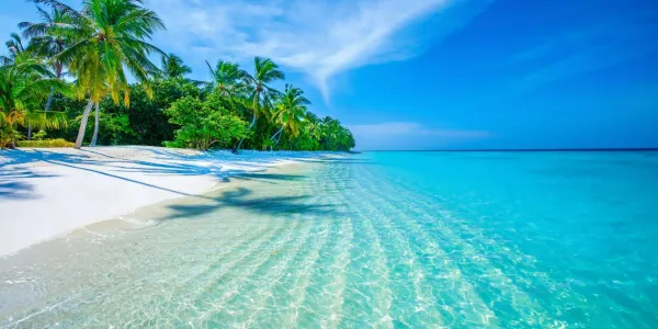Caraibi