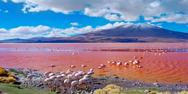 Bolivia