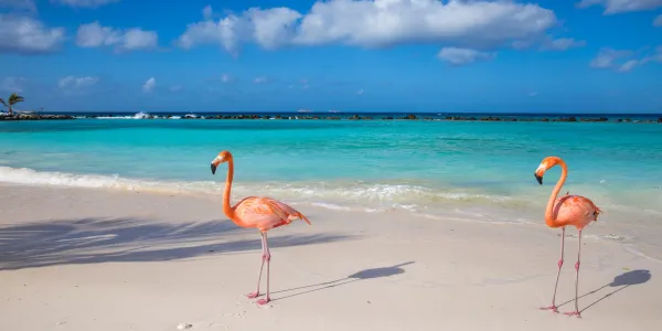 Aruba