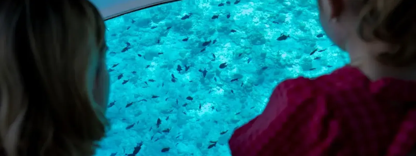 Niva Dhigali Maldives